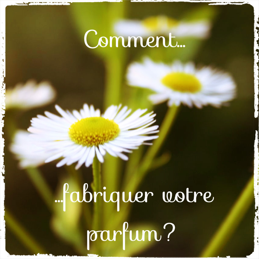 comment faire un parfum avec des huiles essentielles